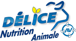 delice-nutrition